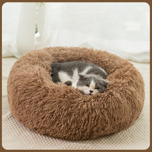 Katzen Plüsch Bett