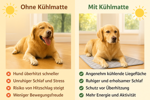 Kühlmatte für Hund und Katze für besonders Heiße Sommertage